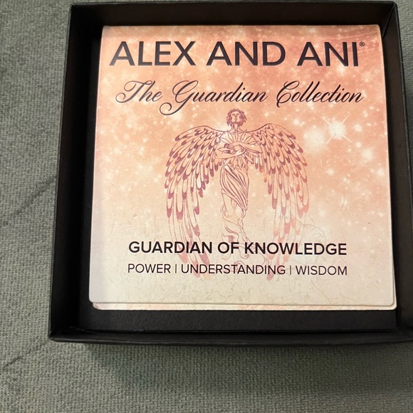 Authentic Alex and Ani Guardian of Knowledge bracelet - Picture 4 of 4